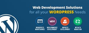 Wordpress Development and Solutions